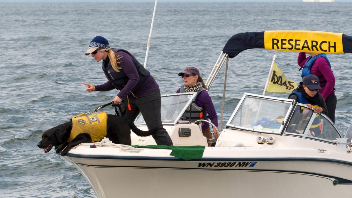 A dog and his trainer stand at the front of a research vessel looking into the water.
